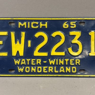1965 Michigan EW-2231 Water Winter Wonderland