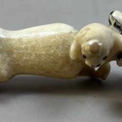 Bone Polar Bear Baby Seal Human Hand Carving