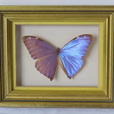 Sale Photo Thumbnail #87
