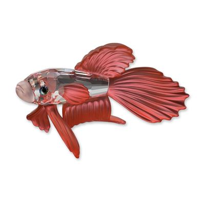 Swarovski Crystal Figurine, Red Siamese Fighting Fish