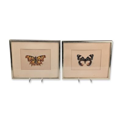 2pc Helen Frost Way Butterfly Watercolors on Paper Framed