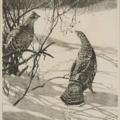 Aiden Lassell Ripley, 1896-1969, Ruffled Grouse in Winter, Drypoint