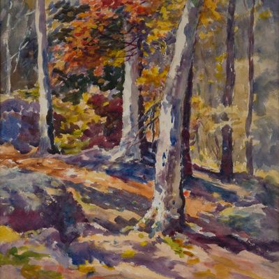 Clarence Scott White, 1872-1965, Birches and Maples, Watercolor