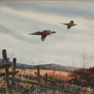 David Hagerbaumer, American 1921-2014, Ring-Necked Pheasant in Flight, Watercolor on Paper