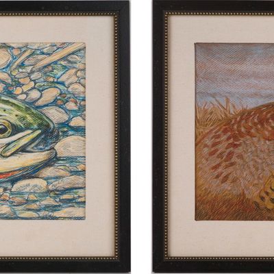 M Cook, Pheasant and Trout, Mixed Media on Paper