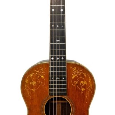Washburn Parlor Guitar- Brazilian Rosewood  Back
