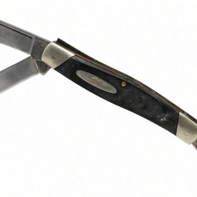 Buck 307 Folding Knife