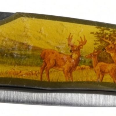 Case Folding Hunter with Wildlife Scene Handle