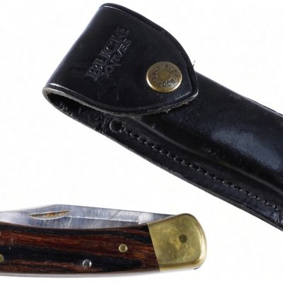 Buck 110 Folding Hunter Knife & Sheath