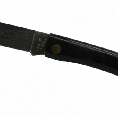 Case XX Sod Buster Knife