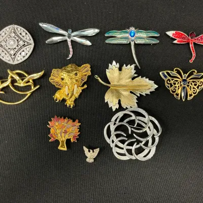 Brooches And Pin