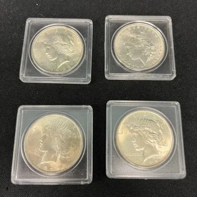 Silver Dollars
