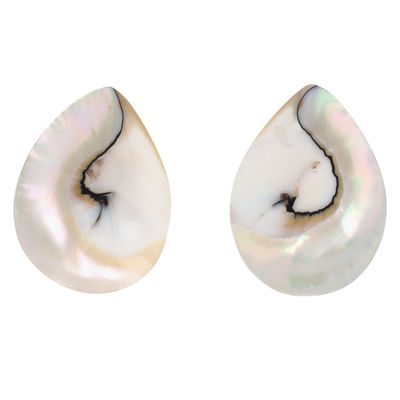 Silver Tone Metal Natural Mother Of Pearl Teardrop Earrings