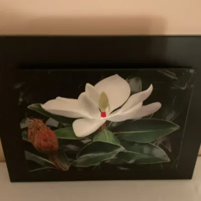 Sale Photo Thumbnail #396