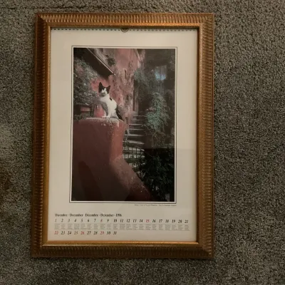 Sale Photo Thumbnail #18