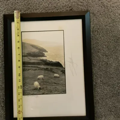 Sale Photo Thumbnail #51