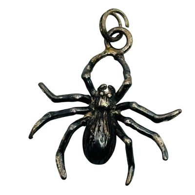 Sale Photo Thumbnail #425: Sterling Spider Charm