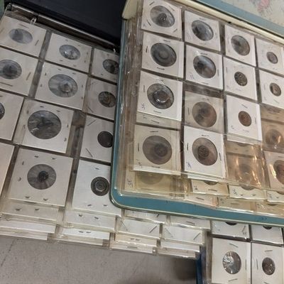 Vintage Button Collection