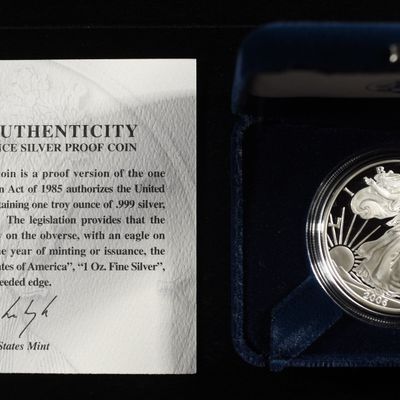2006-W AMERICAN SILVER EAGLE PROOF