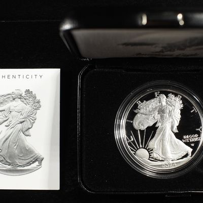 2024-W AMERICAN SILVER EAGLE PROOF