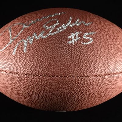 DARREN MCFADDEN AUTOGRAPHED FOOTBALL
