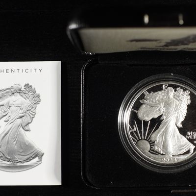2024-W AMERICAN SILVER EAGLE PROOF