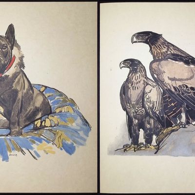 Colette & Jouve - 6 Illustrations of Dog, Tiger, Squirrel, Eagles, & Seaside Town (on 4 fold out pages and one single)