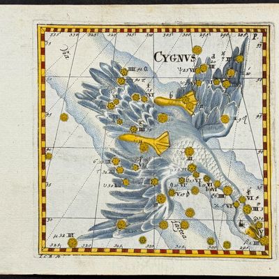 Thomas - Constellation or Celestial Chart of Cygnus (Swan)