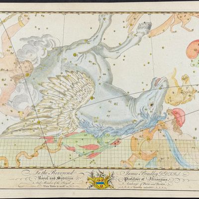 Bevis, Rare - Constellation or Star Chart of Pegasus