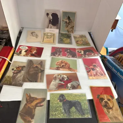 Sale Photo Thumbnail #551