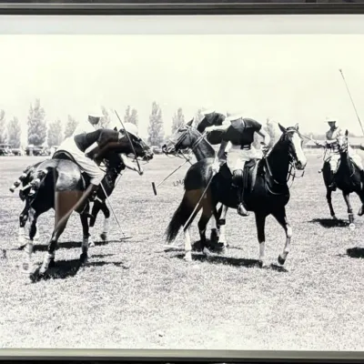 Sale Photo Thumbnail #343