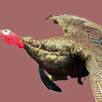 Sale Photo Thumbnail #399