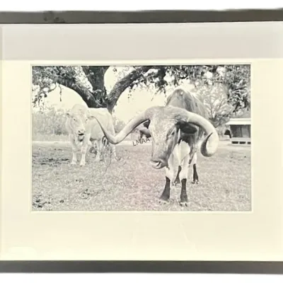 Sale Photo Thumbnail #110