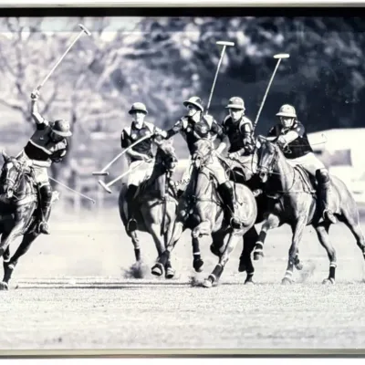 Sale Photo Thumbnail #341