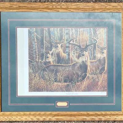 
Cynthia Pischer "sudden Encounter" Limited Edition Print 252 Of 300 In Custom Glass Front Frame