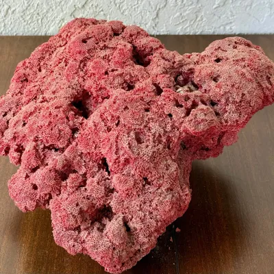 Large Red Pipe Organ Coral Specimen