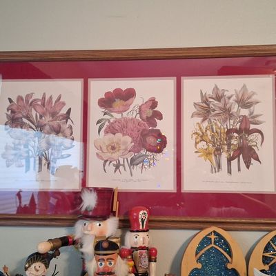 Sale Photo Thumbnail #514: Set of 3 Vintage Botanical Prints: Lilies, Peonies, and Amaryllis