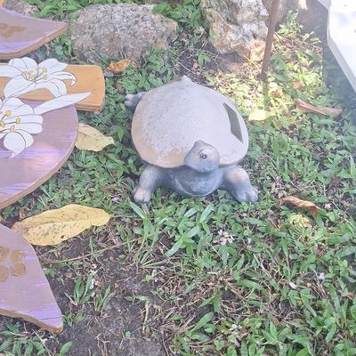 Sale Photo Thumbnail #545: Western Turtle Figure, Concrete Sea Animal Statue