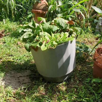 Sale Photo Thumbnail #363: Modernist Tapered Resin Planter