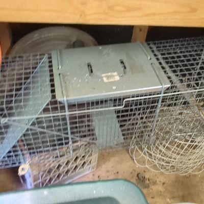 Sale Photo Thumbnail #196: Havahart Large Live Animal Cage Trap