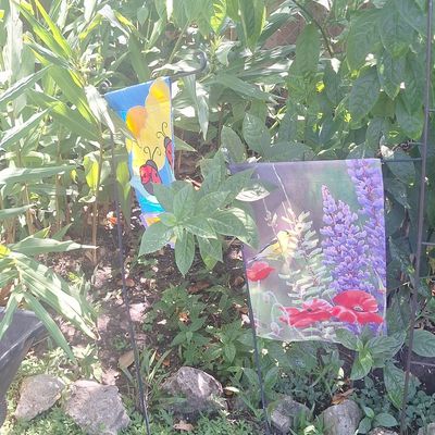 Sale Photo Thumbnail #919: Decorative Garden Flags Set: Ladybug and Floral Scene