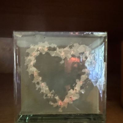 Sale Photo Thumbnail #492: Resin Heart Paperweight with Dried Flowers