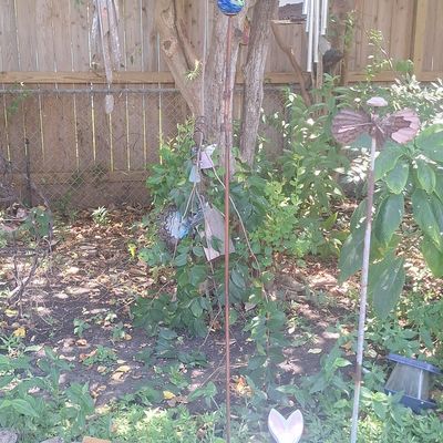 Sale Photo Thumbnail #766: Garden Stake with Decorative Glass Sphere