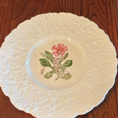 Sale Photo Thumbnail #214: Royal Cauldon Woodstock Rock Purslane Luncheon Plate