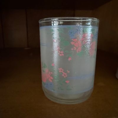Vintage Pfaltzgraff Tea Rose Frosted Floral Drinking Glass