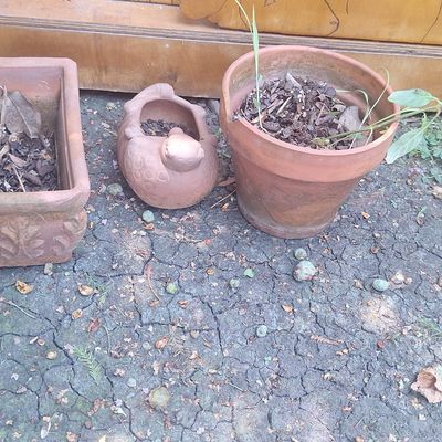 Sale Photo Thumbnail #312: Assorted Terracotta Garden Planters: Oak Leaf Relief Rectangular Planter, Bird-Shaped Vessel, and Chipped Circular Pot
