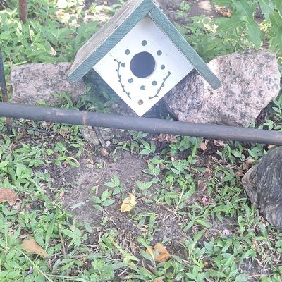 Sale Photo Thumbnail #392: Hand-Painted Wooden Birdhouse with Dot and Vine Accents