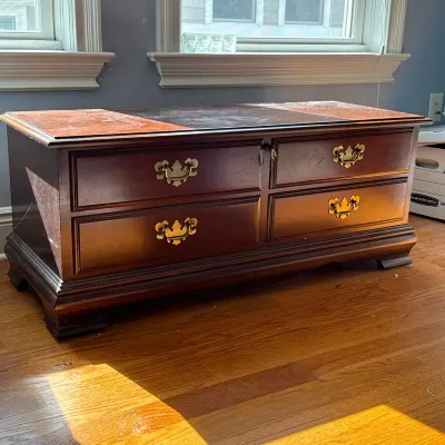 LANE FURNITURE CEDAR LINED HOPE CHEST WITH BRASS HARDWARE
This rectangular storage chest by Lane Furniture features a dark-stained wood...