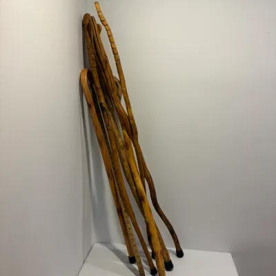 Sale Photo Thumbnail #145: 5 Wooden walking sticks and 2 canes