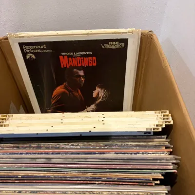 Sale Photo Thumbnail #44: Lot of misc. vinyl records and Videodiscs